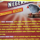 Illustration for article titled Négermagot szereztem a madaraimnak